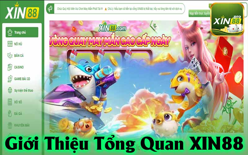 Giới Thiệu Tổng Quan Xin88